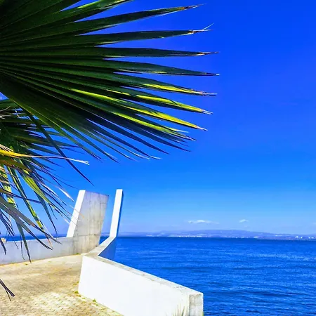 Appartamento Casa Dos Jacintos - Sao Jacinto, *