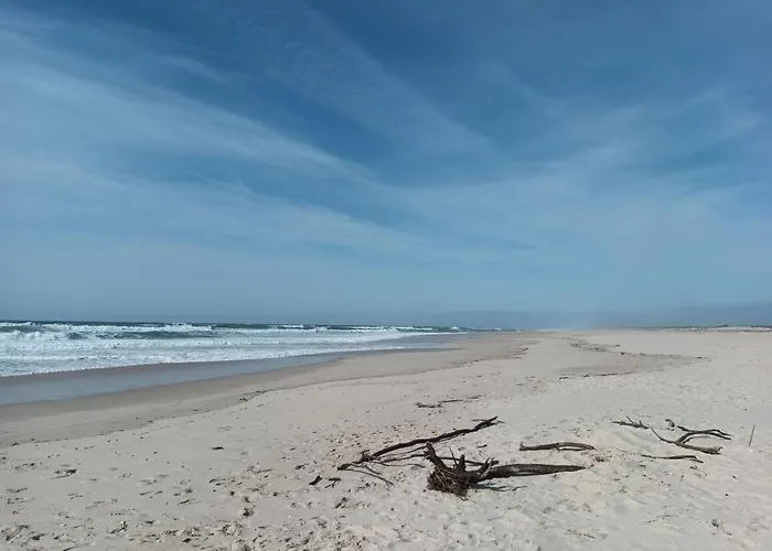 Apartment Casa Dos Jacintos - Sao Jacinto,