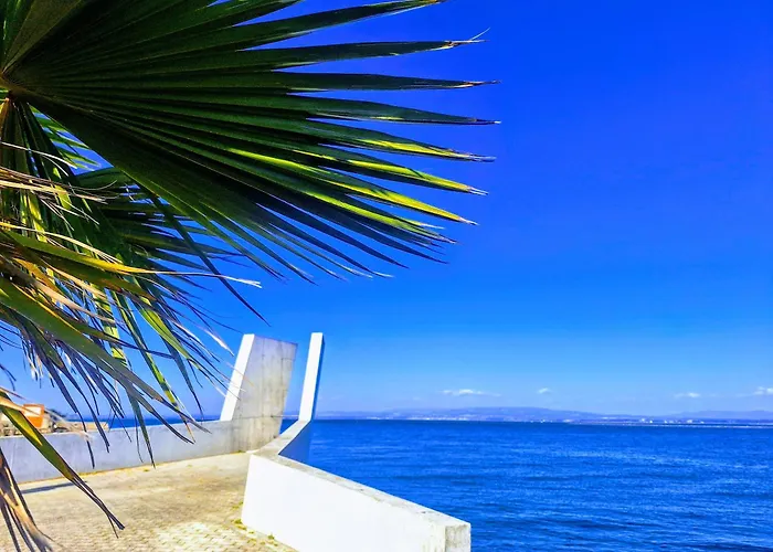 Apartamento Casa Dos Jacintos - São Jacinto, *